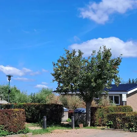 Lessenaar 23 I 6 Persoons Chalet In Zennewijnen Casa vacanze Zennewijnen