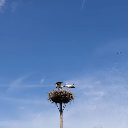 Vakantiehuis Lessenaar 23 | 6 Persoons In