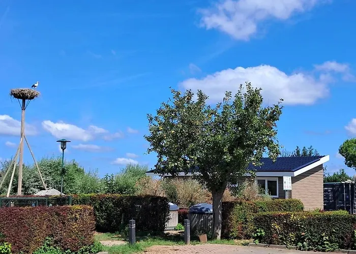 Lessenaar 23 I 6 Persoons De Betuwe Holiday home Zennewijnen